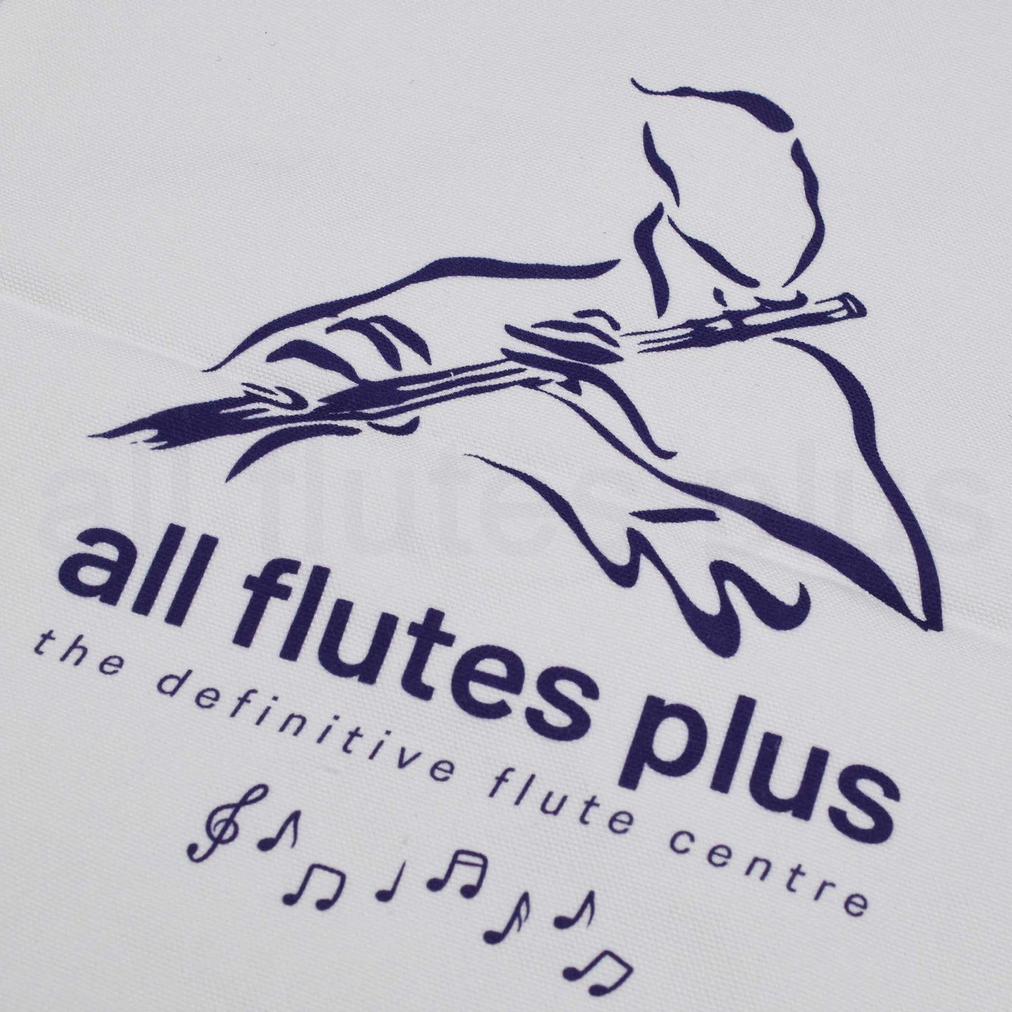 Logo of 'all flutes plus' with a silhouette of a person playing a flute on a light gray background.