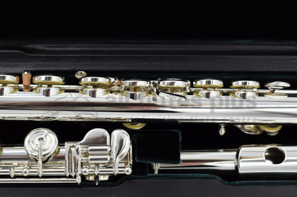 Altus ALIIRBEO Flute set in an open case, close up of flute body tone holes