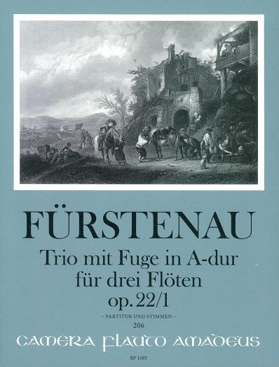 Book cover of 'Fürstenau' with a scenic illustration on a light blue background