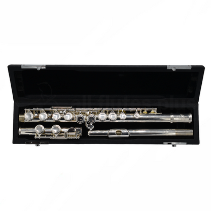 Pre-owned All Flutes Plus AFP1 Flute C8121