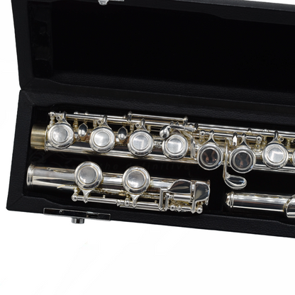 Pre-owned All Flutes Plus AFP1 Flute C8121