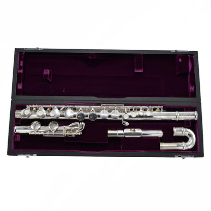 Pre-owned Trevor James Performer Series Alto Flute C8185