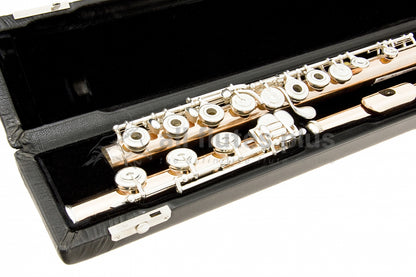 Powell handmade conservatory 9k aurumite flute close up of right hand open hole keywork, body tube and footjoint mechanism, displayed in its open flute case  