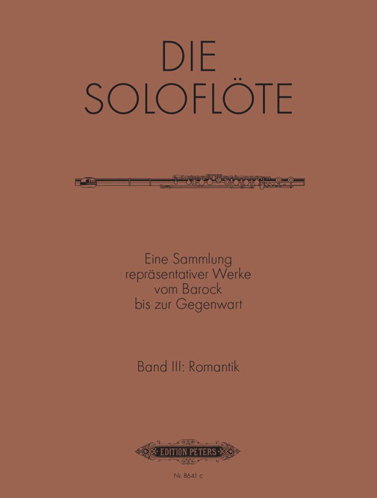 Book cover of 'Die Solofloöte' with a flute illustration on a brown background