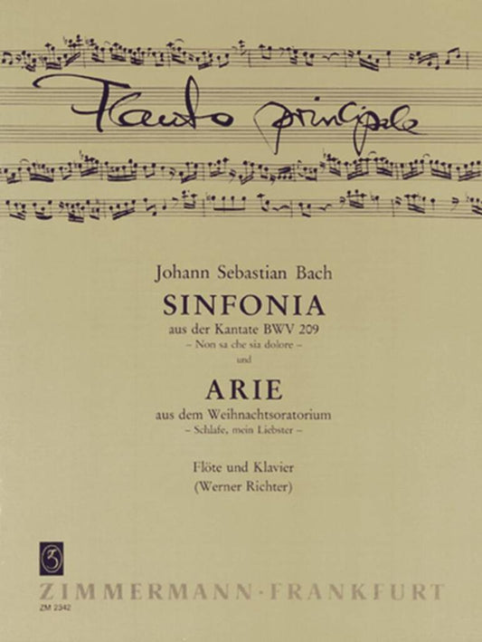 JS Bach Sinfonia from Cantata No 209-Flute and Piano