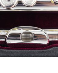 Trevor James Performers Privilege Flute-D