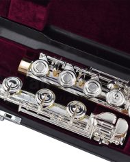 Trevor James Performers Privilege Flute-b