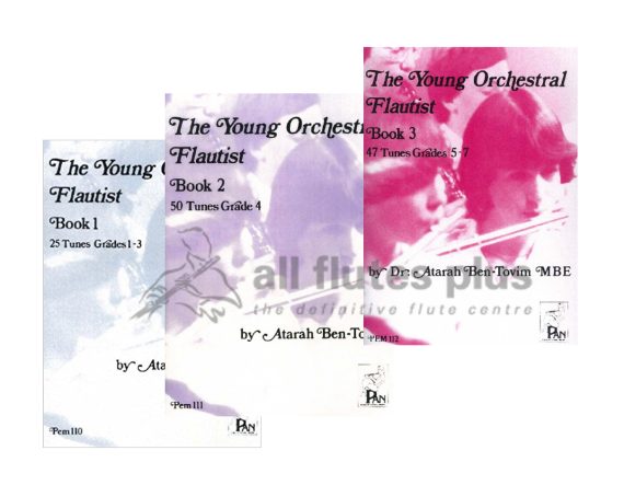 The Young Orchestral Flautist