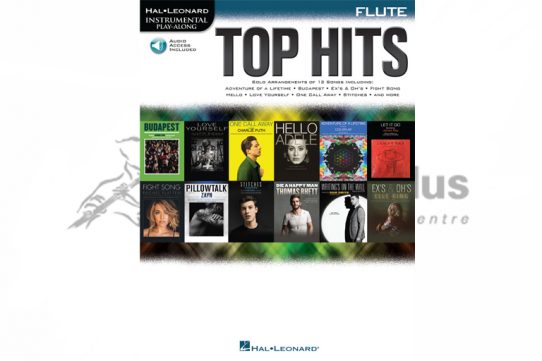 Top Hits Flute Series Instrumental Play-Along-Hal Leonard