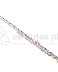 Trevor-James-5XE-Flute-Image-without-case