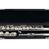 Pearl 665E Pre-Owned Flute with Forza Head Joint-c9091