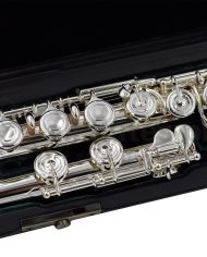 Altus A9E Flute-4