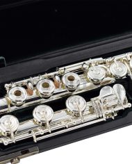 Altus ALIIRBEO Flute-F