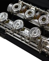 Altus A13 Flute-G
