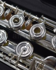 Altus A13 Flute-I