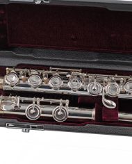 AFP10025 b